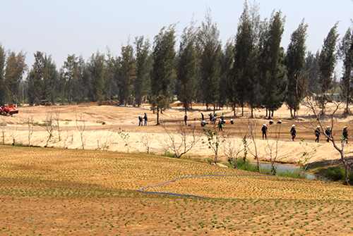 Dự án đốn 100 hecta rừng làm sân golf ở Phú Yên được ưu ái ra sao?